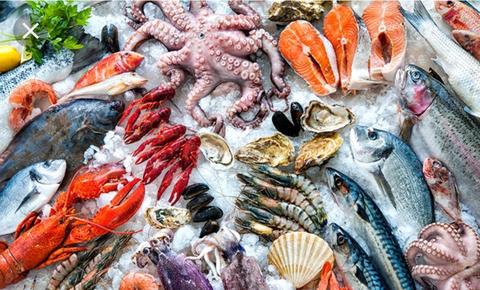 Fresh Seafood and your grocery at your door (Express of Interest)