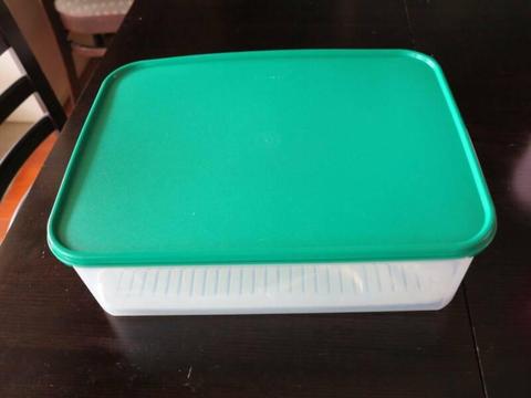 Tupperware Large Modular Keeper with Grid Vegetable & Fruits