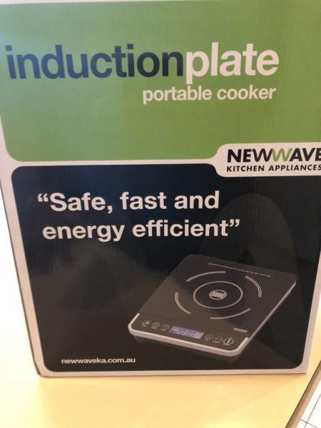 Induction plate portable cooker