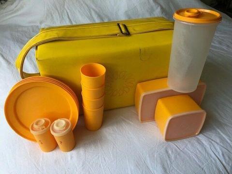 Vintage Tupperware picnic set