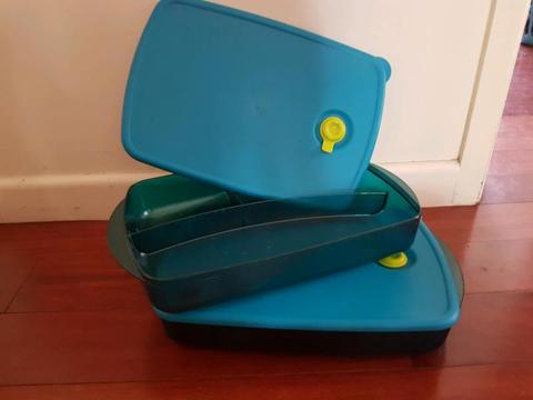 Tupperware divided containers