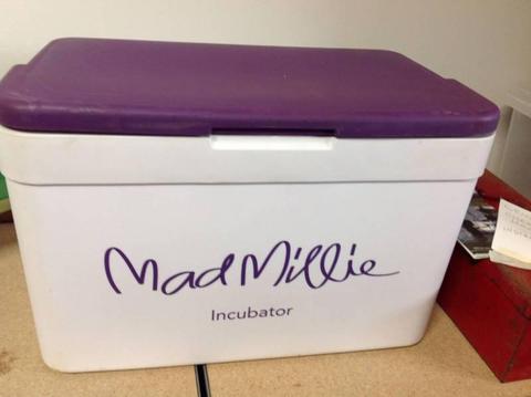 Mad Millie Cheese and Yoghurt Incubator Kit