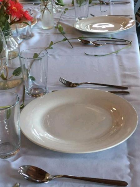 Bulk dinnerware used once for engagement party