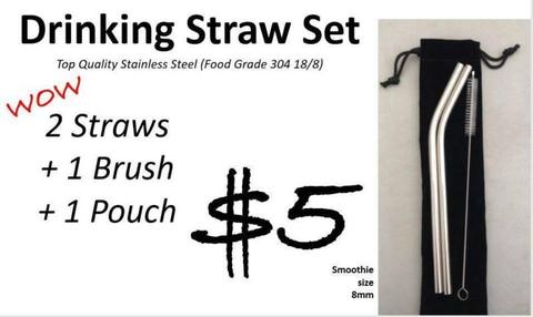 Stainless Steel Straw Set (2 straws 1 Brush 1 bag)