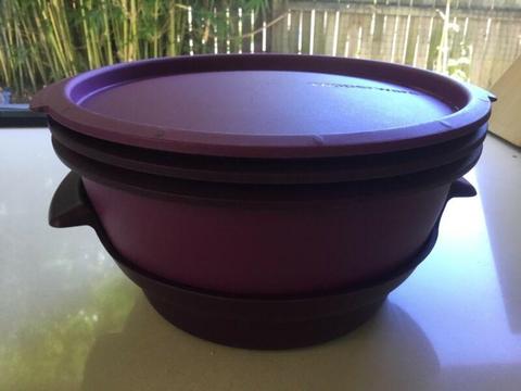 Tupperware Micro Steamer