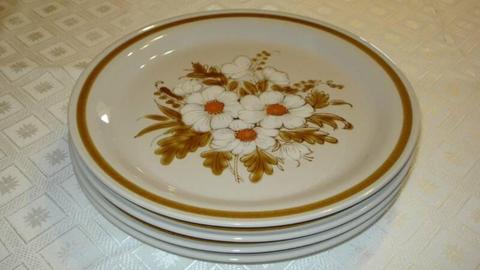 Vintage Retro Mountain Wood Stoneware Dinner Plates Set of 4