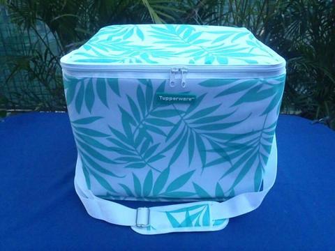 Large Insulated Tupperware Picnic Bag - Brand New