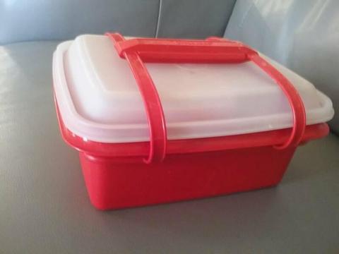 Rare Vintage Tupperware Lunch Storage