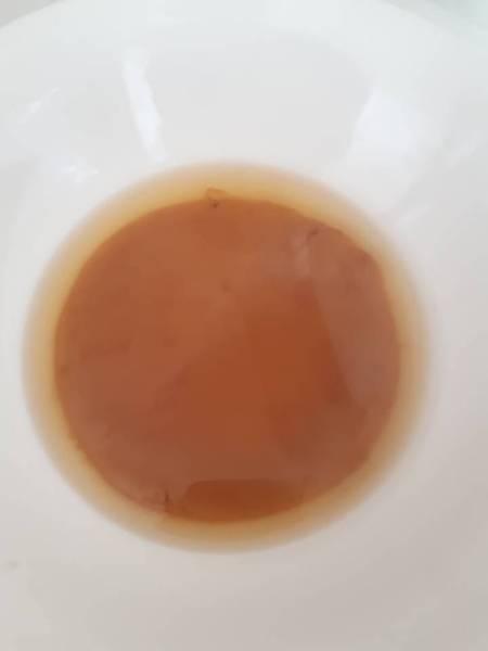 Kombucha scoby and starter liquid