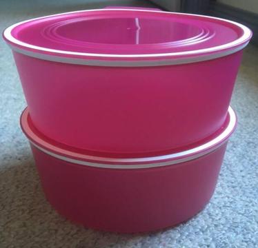 **Brand New** TUPPERWARE Containers, Set of 2
