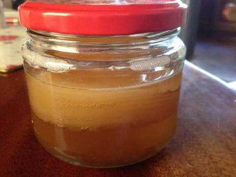 SCOBY's for Kombucha Fermented tea probiotic drink Health benefit