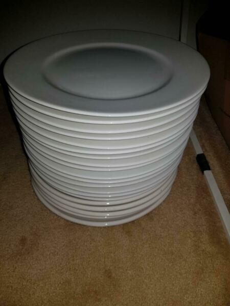 Free unused dinner plates