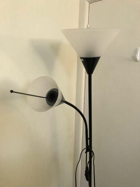 Dual Floor Lamp