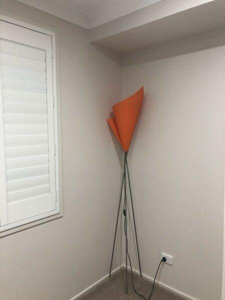 TALL FEATURE LAMP