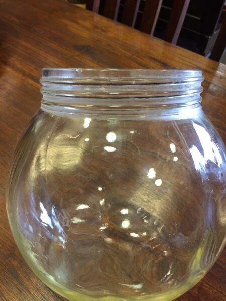 WANTED. Clear glass light globes