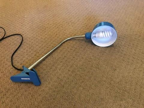 Desk clamp lamp