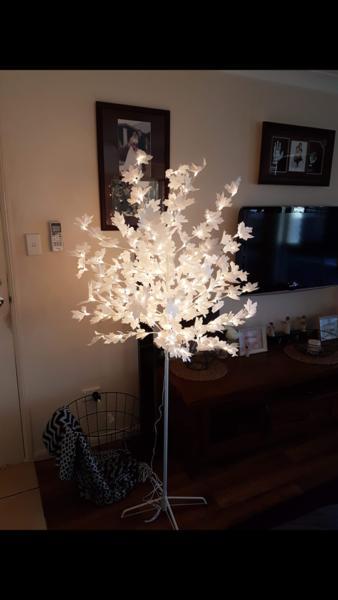 Canadian Maple Tree Light