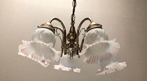 Charming Ceiling Lamp