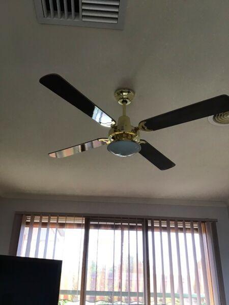 Ceiling fans with lights