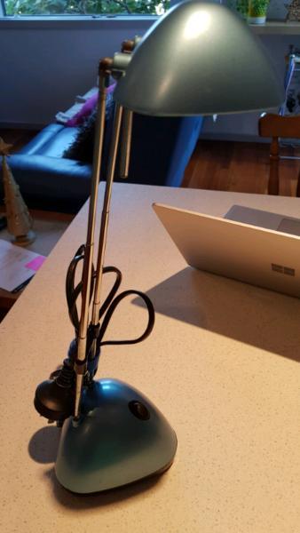 Extendable Desk Lamp