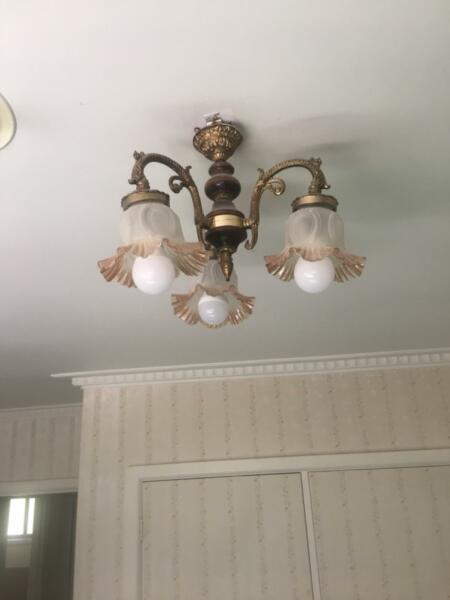 Brass ceiling lights