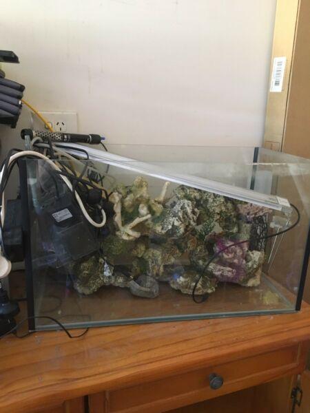 Fish tank with light and accessories