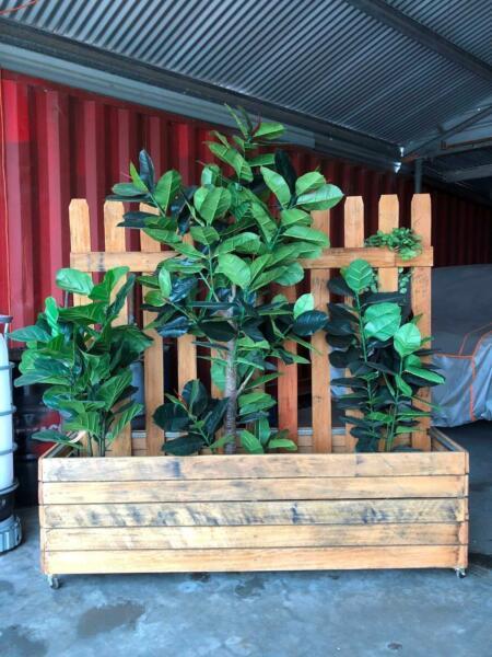 Timber Planter Boxes / Privacy Screens