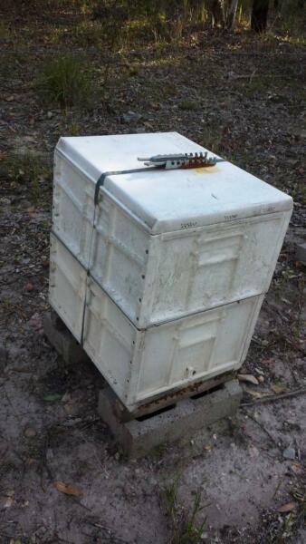 Bee Hive with new season queen Delivered to Newcastle area