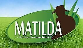 MATILDA SOFT LEAF BUFFALO TURF PREMIUM LAWN !