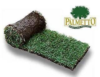 Palmetto Soft Leaf Buffalo Turf Premium Lawn