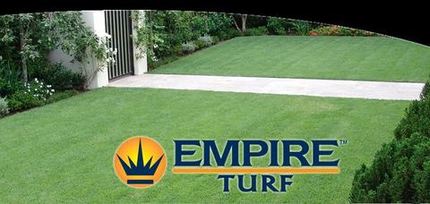 Empire Zoysia Turf soft and lush home lawn