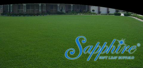 Sapphire Soft Leaf Buffalol Turf Premium Lawn!