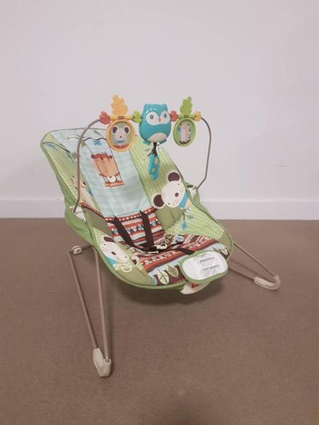 Fisher and Price Baby Bouncer