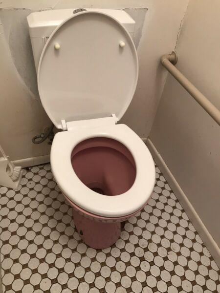 Pink bath toilet combo