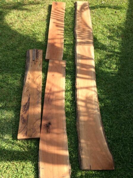 Australian Red Cedar slabs