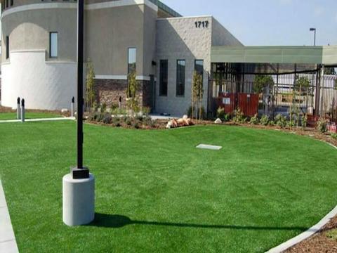 Artificial Synthetic Grass - Great Sandy