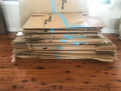 20 plus strong moving boxes excellent condition