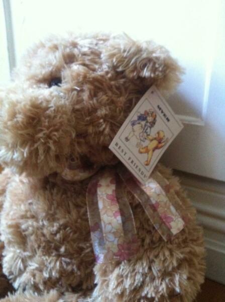 Brand new teddy bear $10