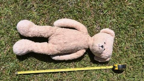 50cm teddy bear