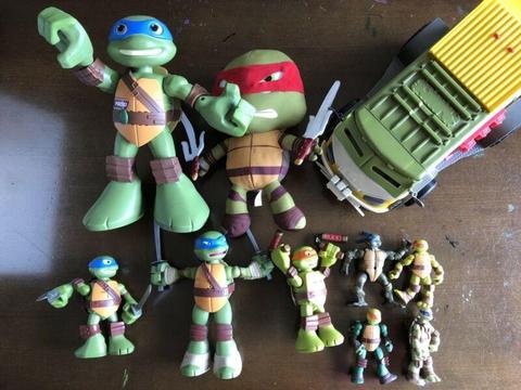 Teenage mutant ninja turtle collection