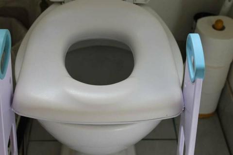 toddler toilet training seat