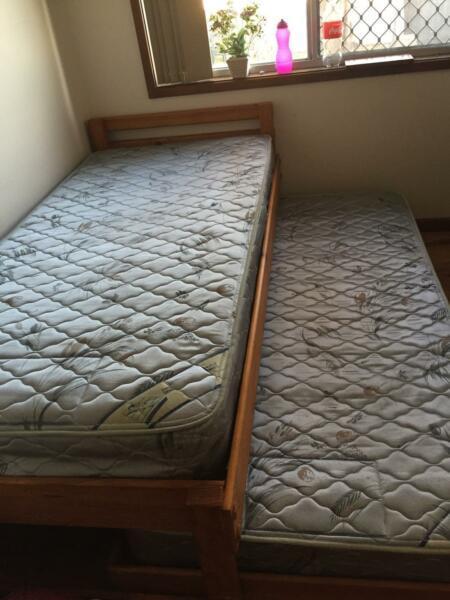 Bed frame and trundle