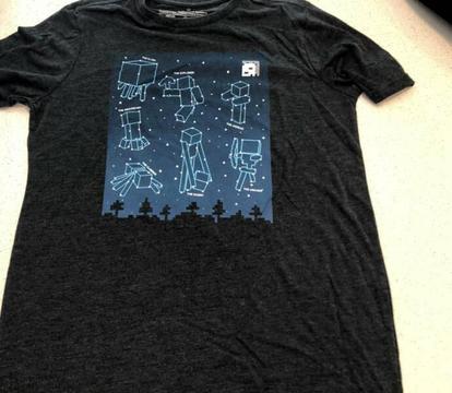 Mojang (Size 16) Minecraft Tee Shirt