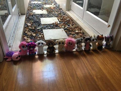 Beanie Boo Collection