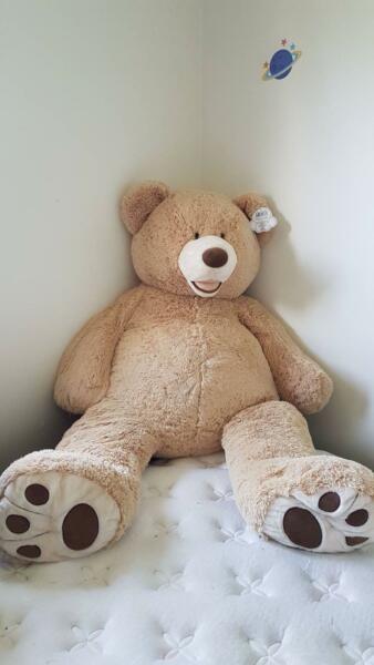 Giant brown teddy with tags