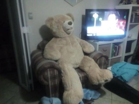 Giant Teddy Bear for Valentines Day