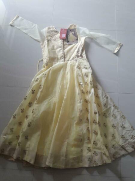 Indian tranditional dress for girls