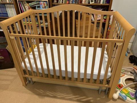 Cot / Fold out Toddler bed