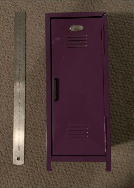 Purple locker (mini desk locker)