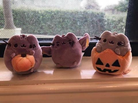 Pusheen Collectibles - Blind Boxes